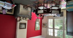 Hôtel Particulier 14 pièces – 330 M² – garage jardin
