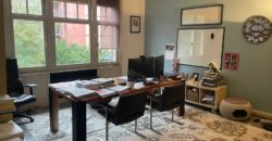 Hôtel Particulier 14 pièces – 330 M² – garage jardin