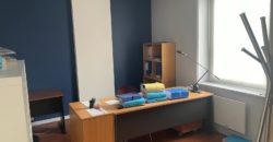 Hôtel Particulier 14 pièces – 330 M² – garage jardin