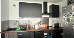 Appartement T2 avec jardin privatif, parking – Résidence récente – Lille