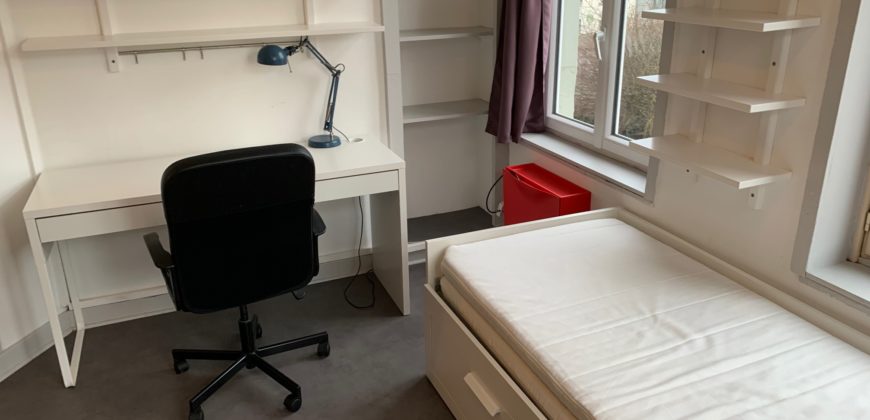 Studio meublé de 13 m² – Rue Gantois à Lille